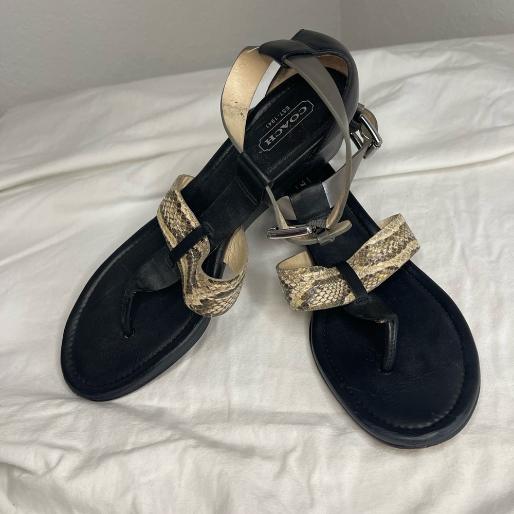 Coach | Black and snake print sandals